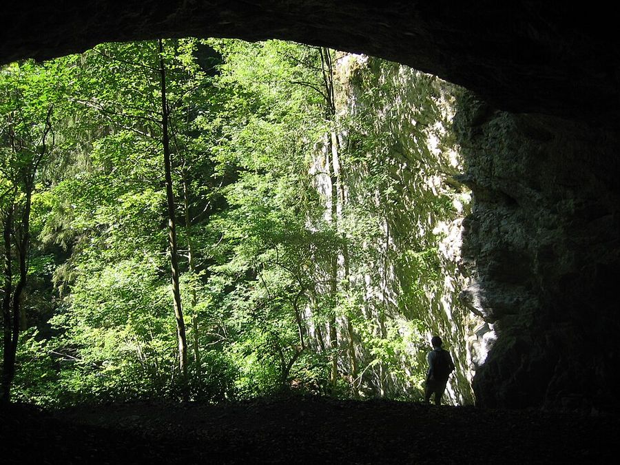 Pokljuška soteska, spodmol Poglejska cerkev